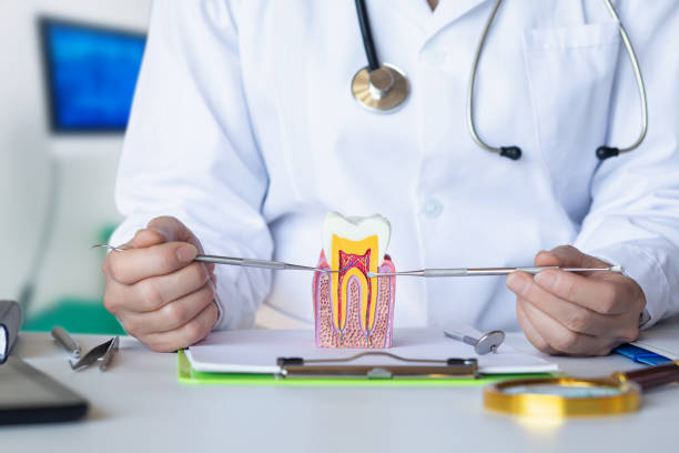 Best Emergency Root Canal Treatment in Seco Mines, TX